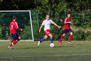 Bild 215 - Frauen HSV - cJun Eintracht Norderstedt : Ergebnis: 1:16